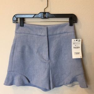 Zara Basic Collection Shorts